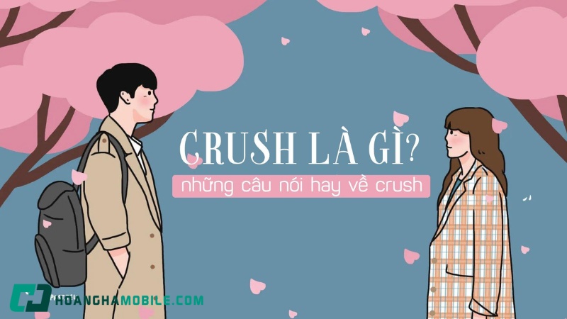 crush là gì trong ngôn ngữ giới trẻ