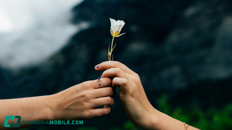 crush khác gì với yêu