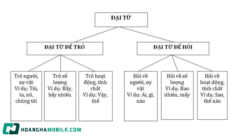 dai-tu-la-gi-1