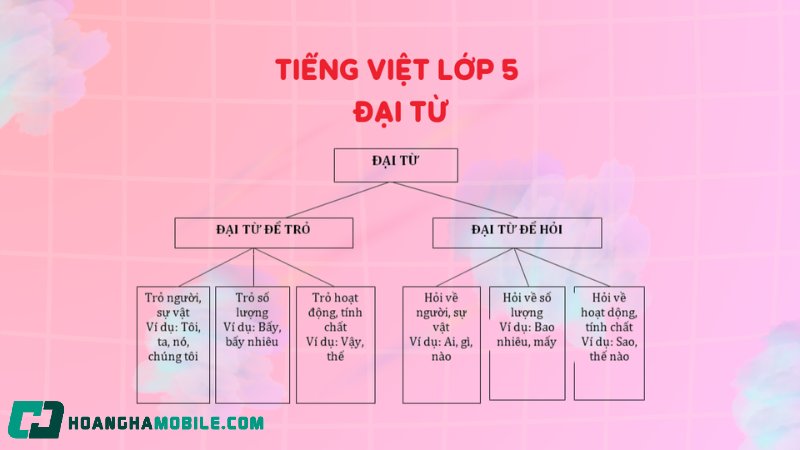 dai-tu-la-gi-3