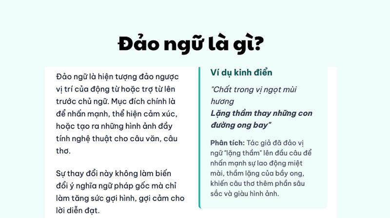 dao-ngu-la-gi-1