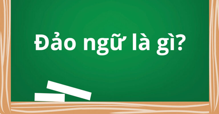 dao-ngu-la-gi