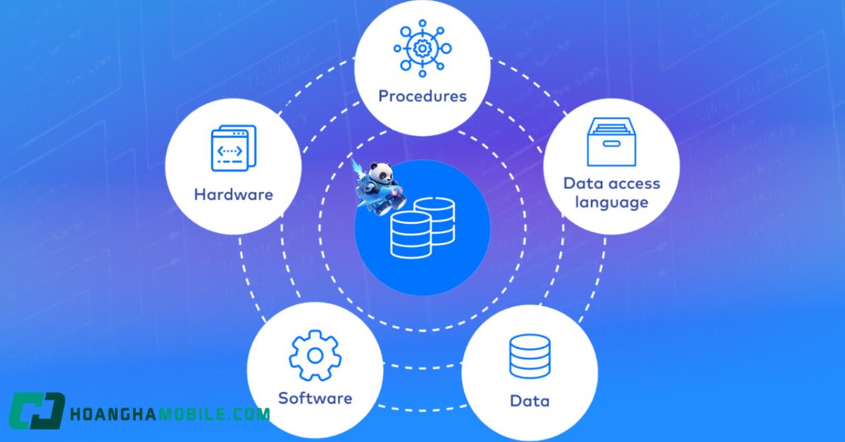 database-la-gi