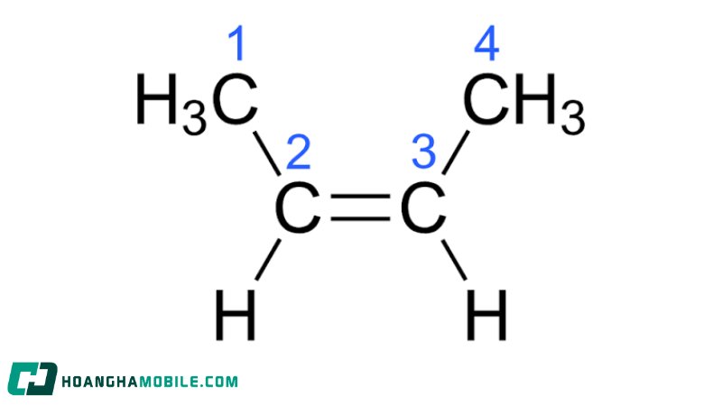 dong-phan-2