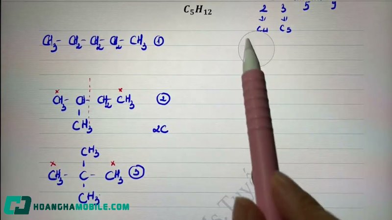 dong-phan-3