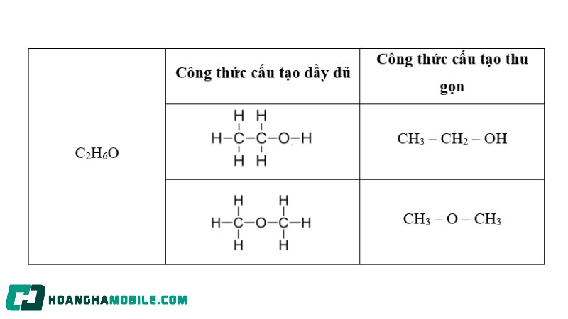 dong-phan-4