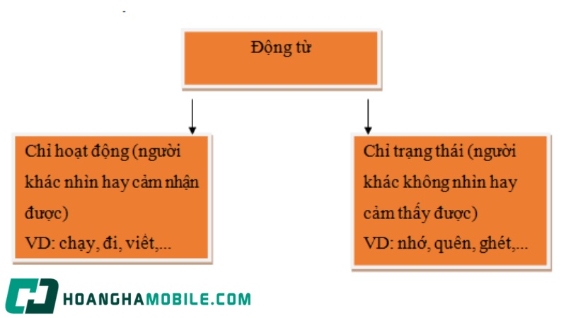 dong-tu-la-gi-3