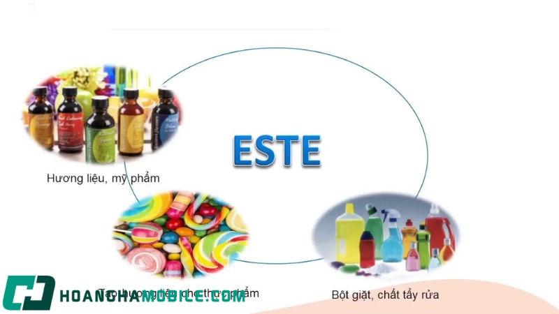 este-la-gi-4