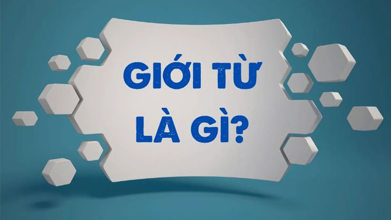 gioi-tu-la-gi-1