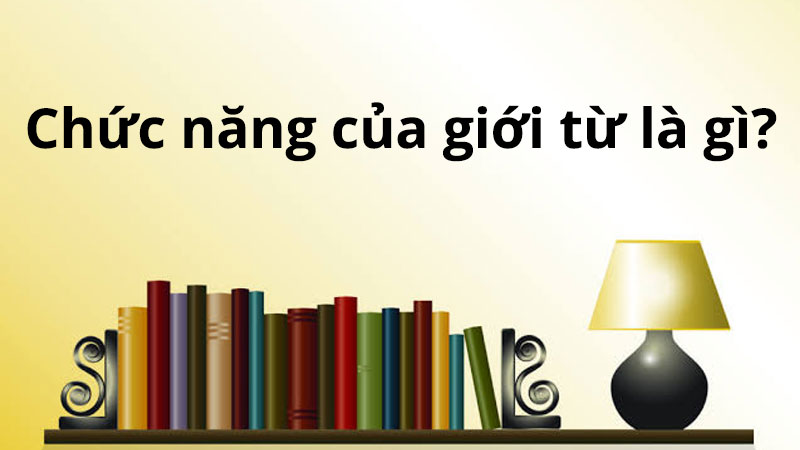 gioi-tu-la-gi-2