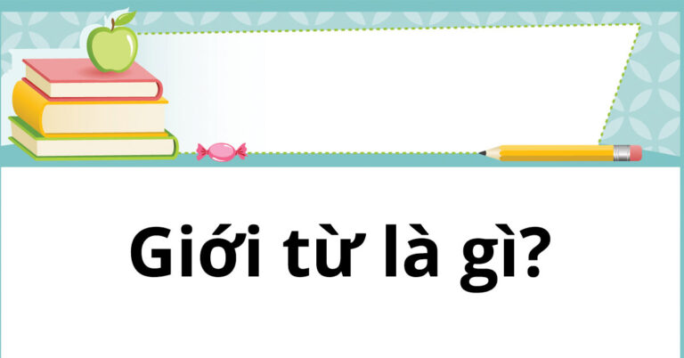gioi-tu-la-gi