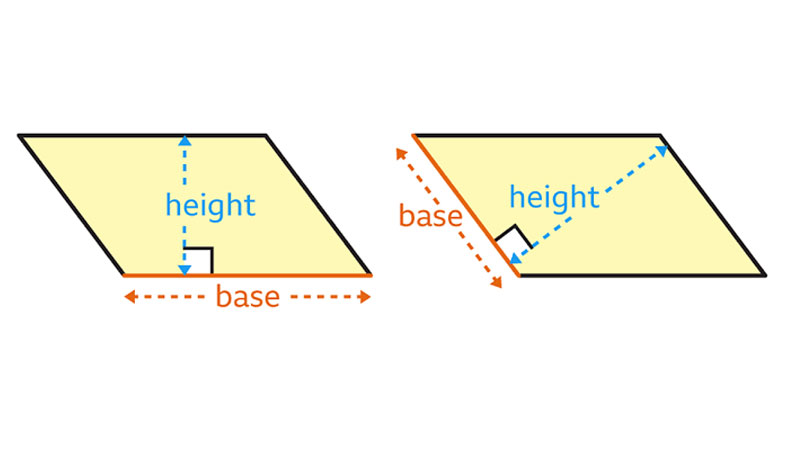 hinh-binh-hanh-la-gi-2