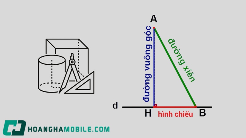 hinh-chieu-3