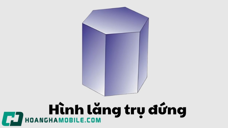 hinh-lang-tru-dung-2