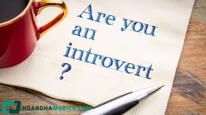 introvert-la-gi-1