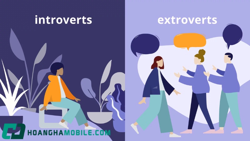 introvert-la-gi-3