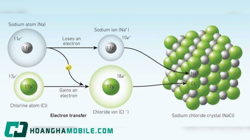 lien-ket-ion-4