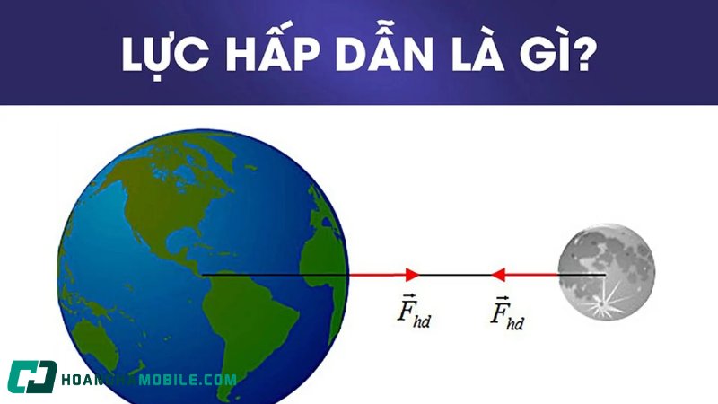 luc-hap-dan-1
