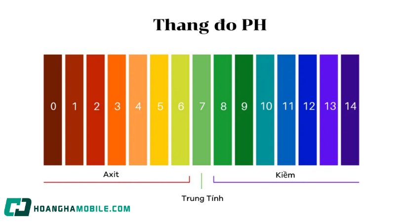 ph-1