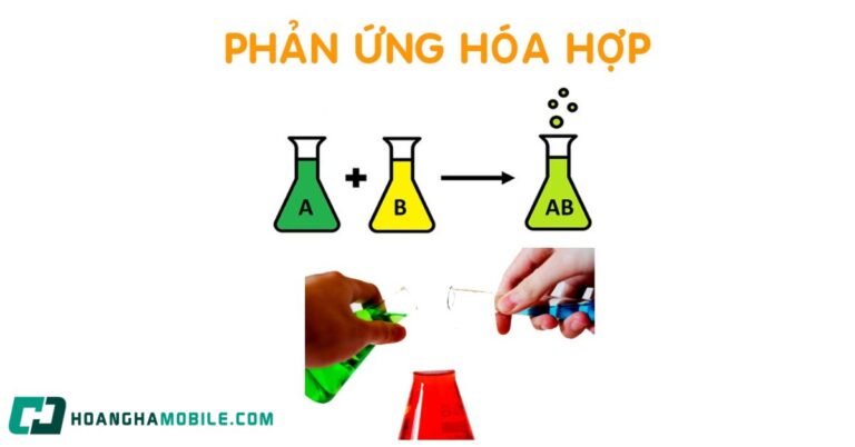 phan-ung-hoa-hop