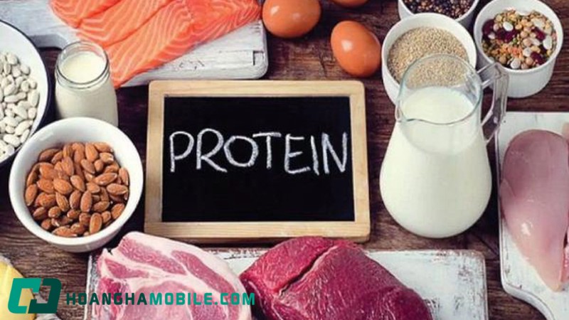 Protein-La-Gi-1