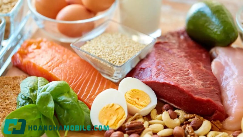 Protein-La-Gi-4
