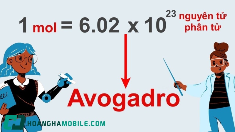 so-avogadro-4