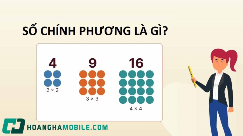 so-chinh-phuong-la-gi-1
