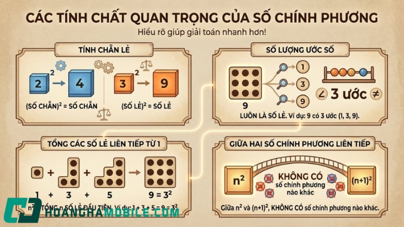 so-chinh-phuong-la-gi-2