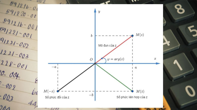 so-phuc-la-gi-2