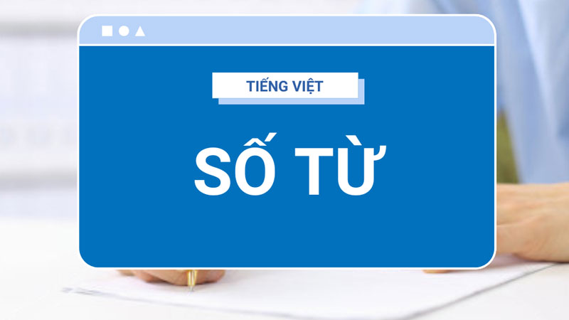 so-tu-la-gi-2