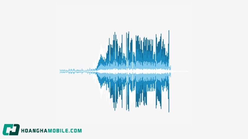 song-am-1