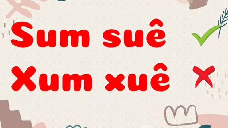 sum-sue-hay-xum-xue-3