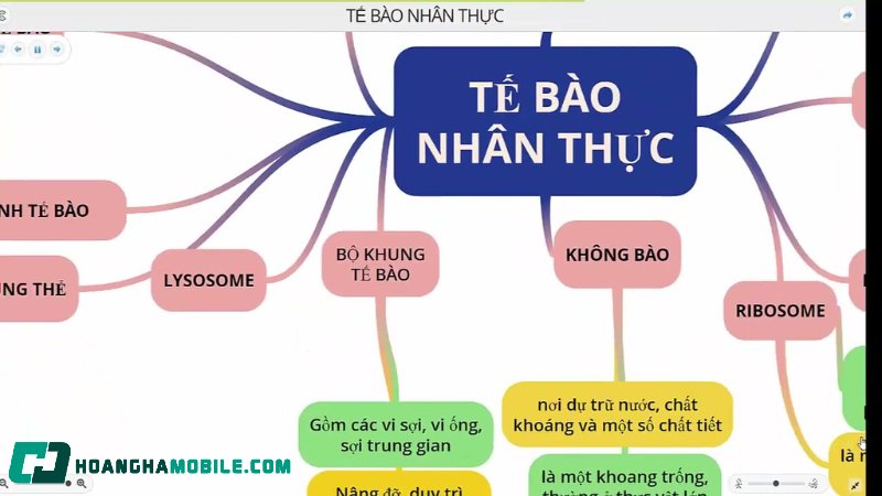 te-bao-nhan-thuc-4