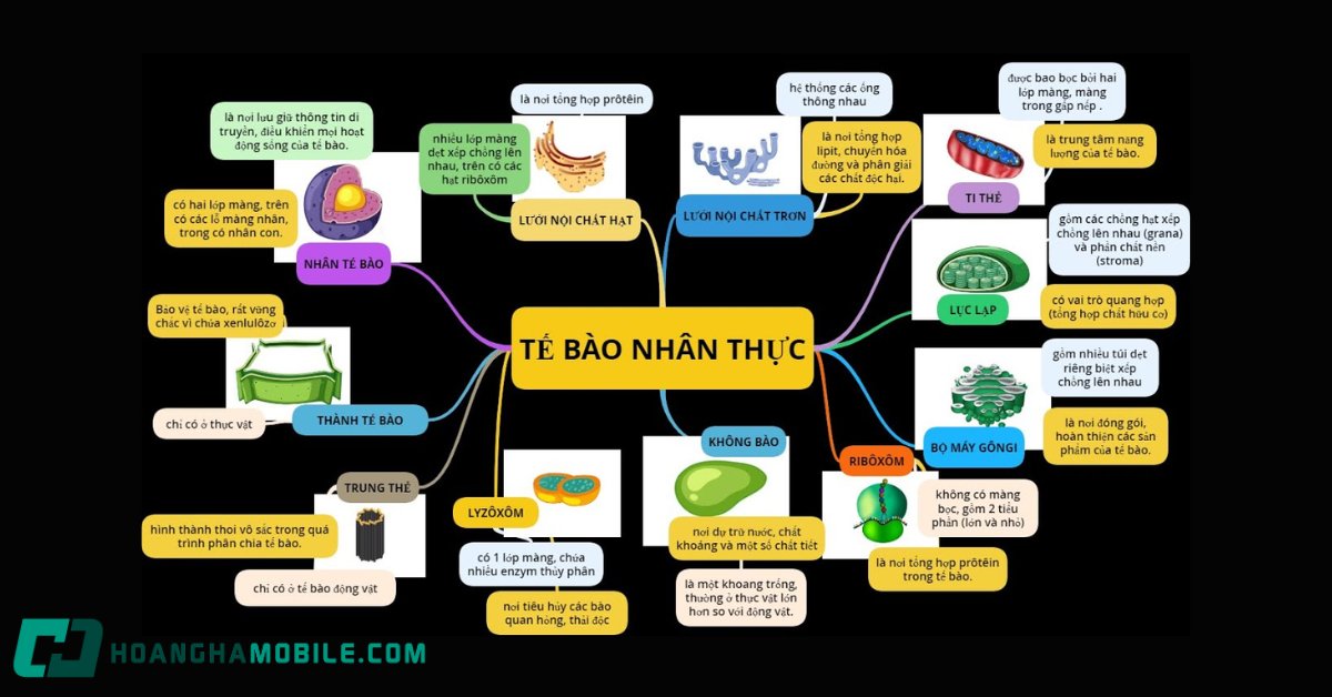 te-bao-nhan-thuc