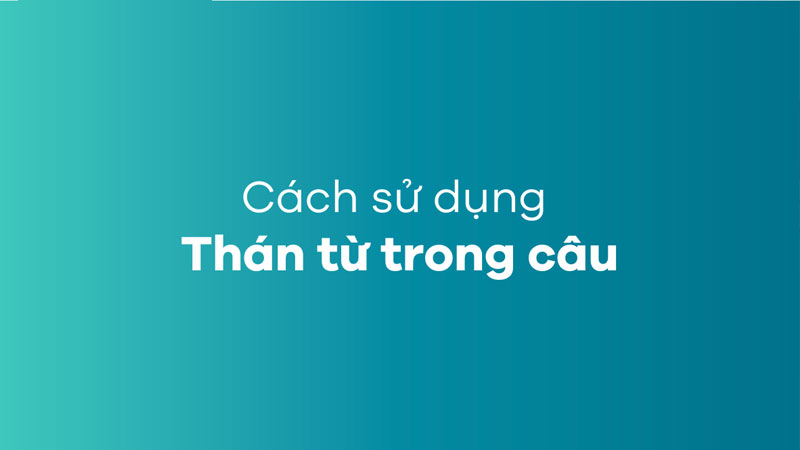than-tu-la-gi-2