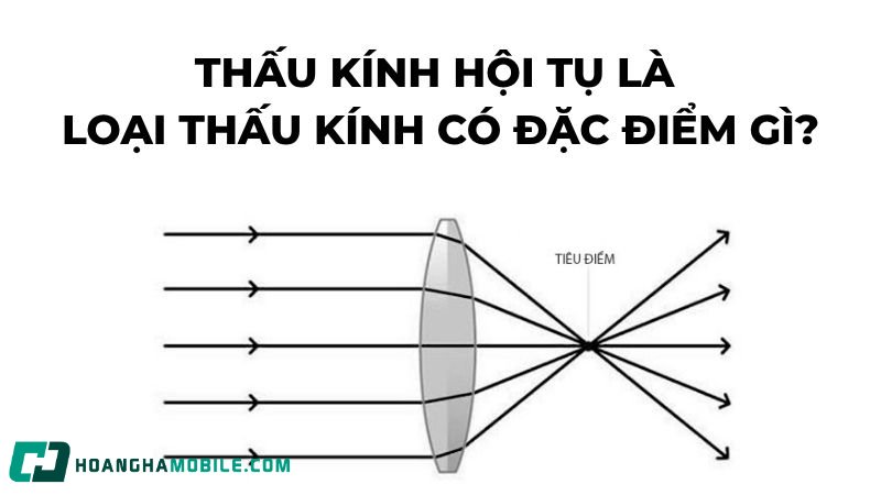thau-kinh-hoi-tu-1