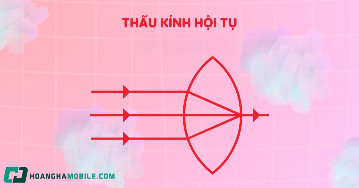 thau-kinh-hoi-tu