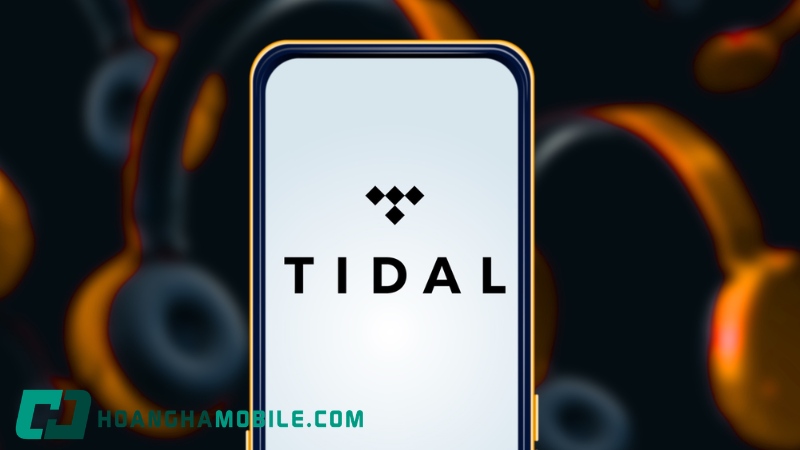tidal-la-gi-1