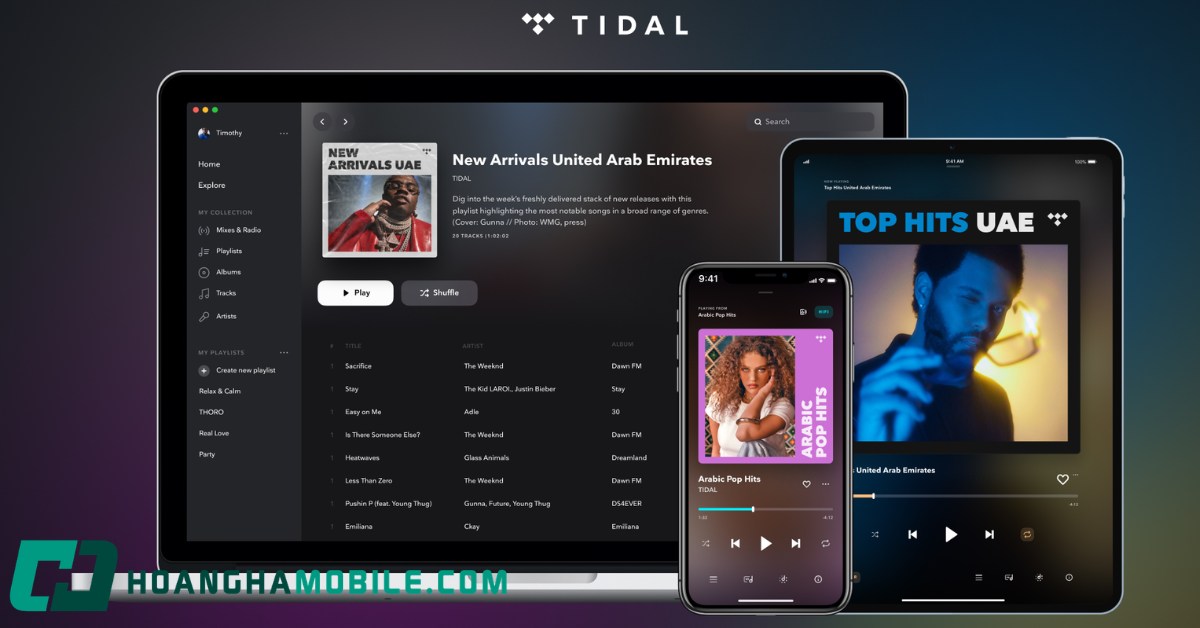 tidal-la-gi