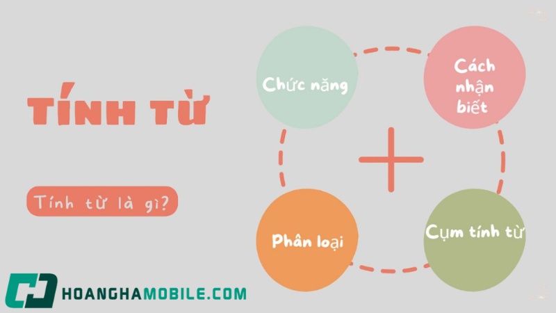 tinh-tu-la-gi-1