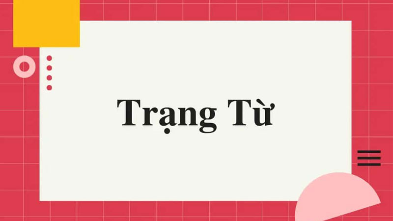 trang-tu-la-gi-1