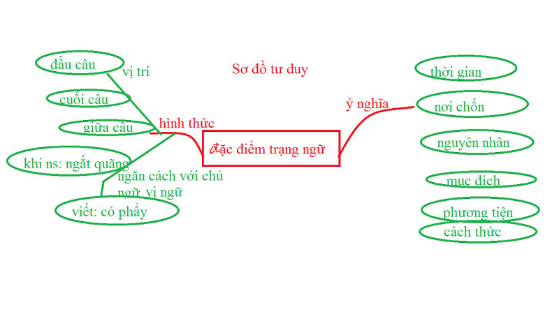 trang-tu-la-gi-3