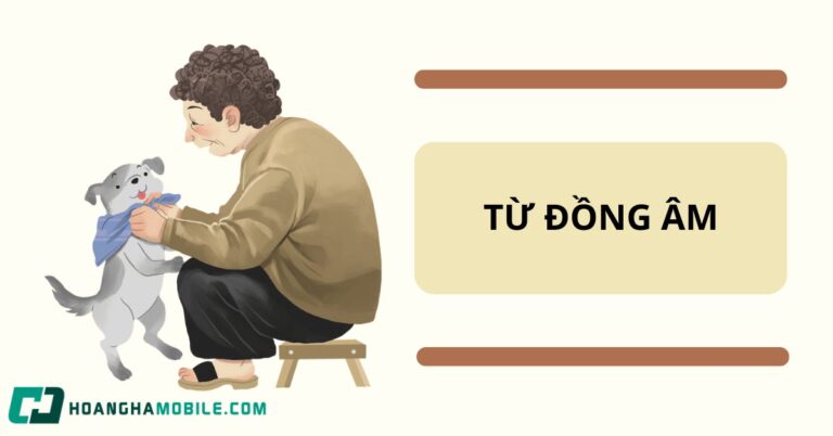 tu-dong-am-la-gi