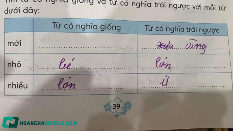 tu-dong-nghia-3