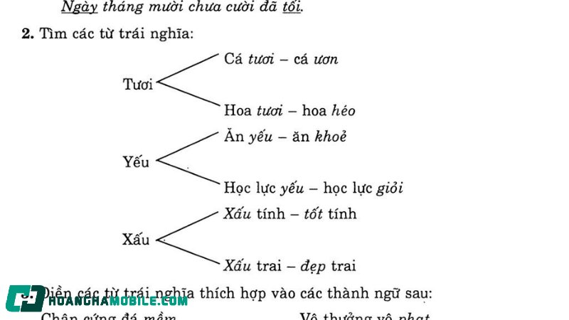 tu-trai-nghia-la-gi-3