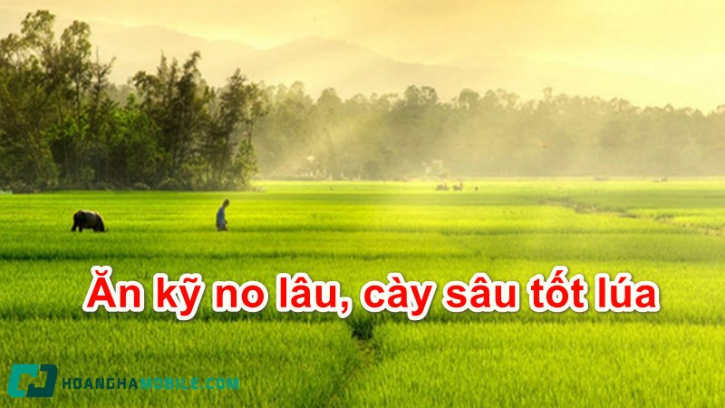 tuc-ngu-la-gi-2