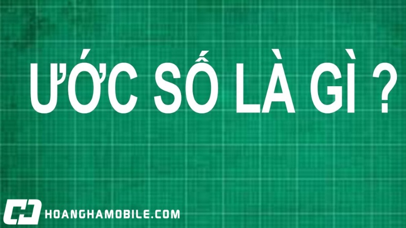 uoc-so-la-gi-1