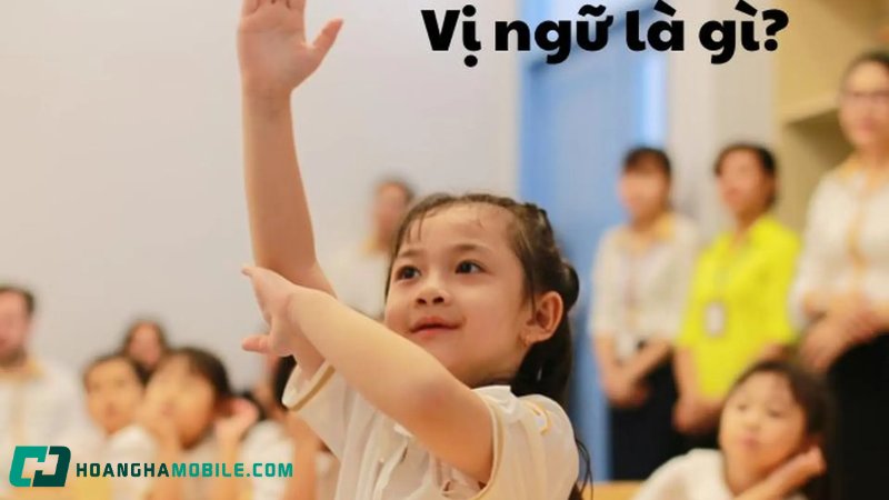 vi-ngu-la-gi-1