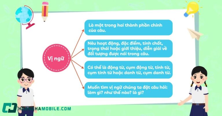 vi-ngu-la-gi